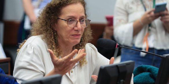 parlamentares-governistas-vao-aos-eua-apresentar-contraponto-a-direita